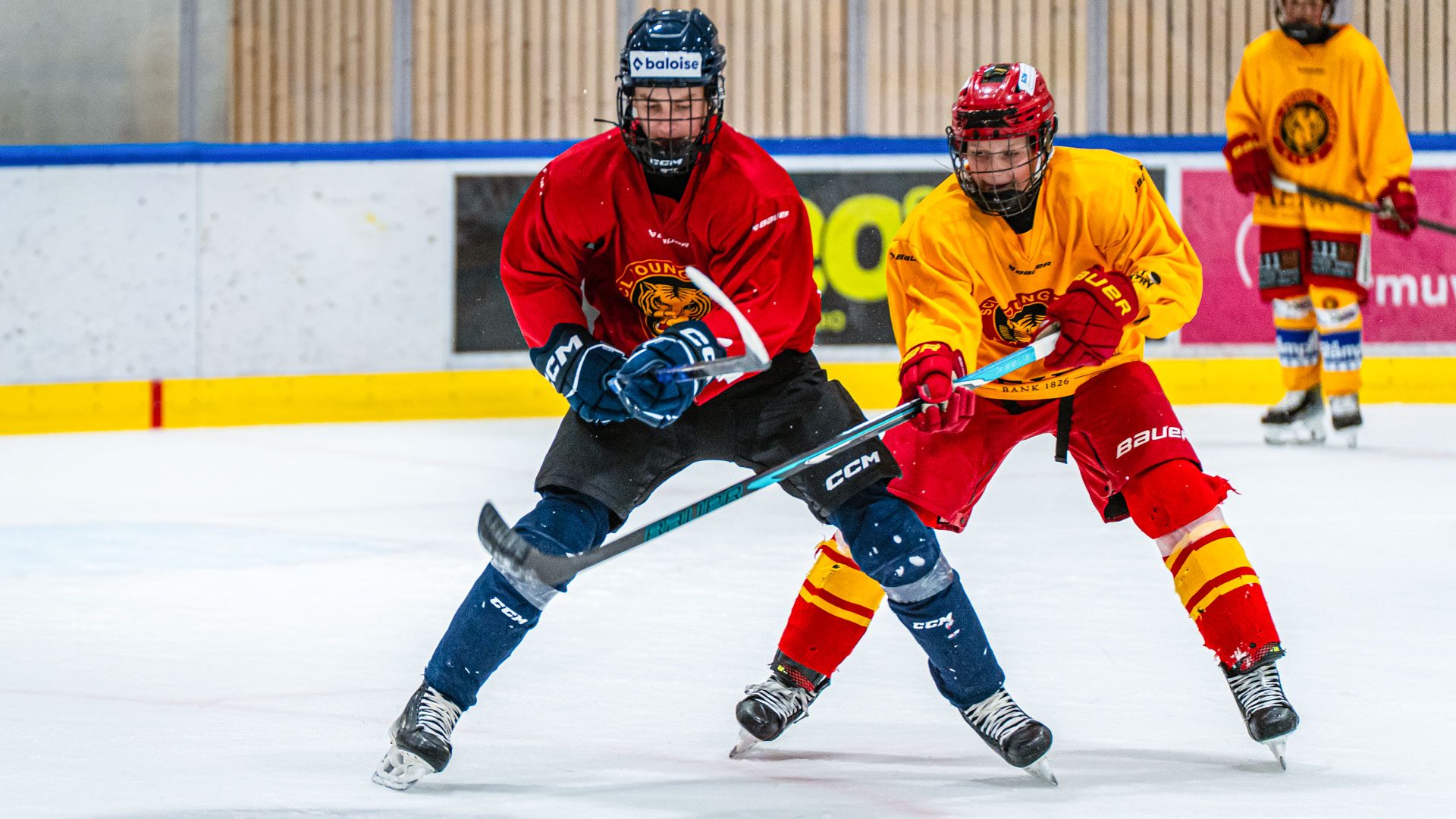 Zwei Nachwuchsspieler im Zweikampf am Summer Hockey Camp 2026 in Langnau
